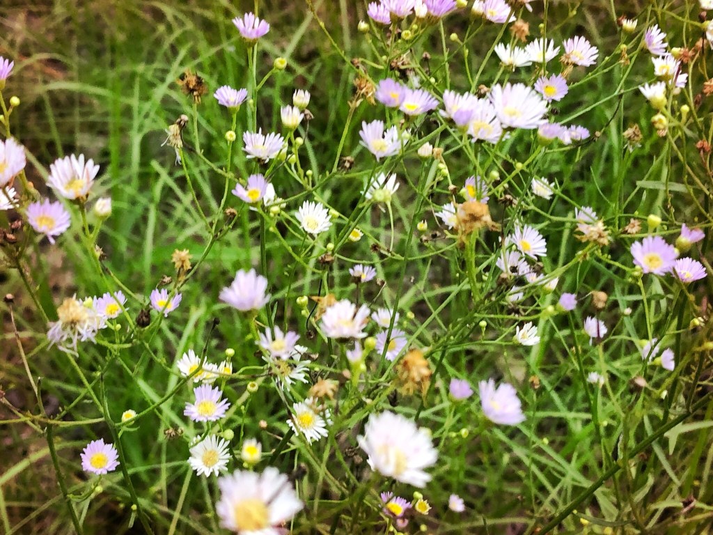 Body, Mind and Spirit