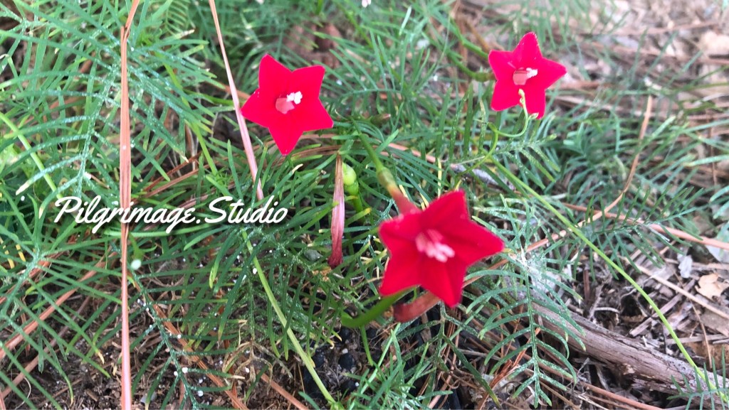 Out of the&nbsp;Ordinary