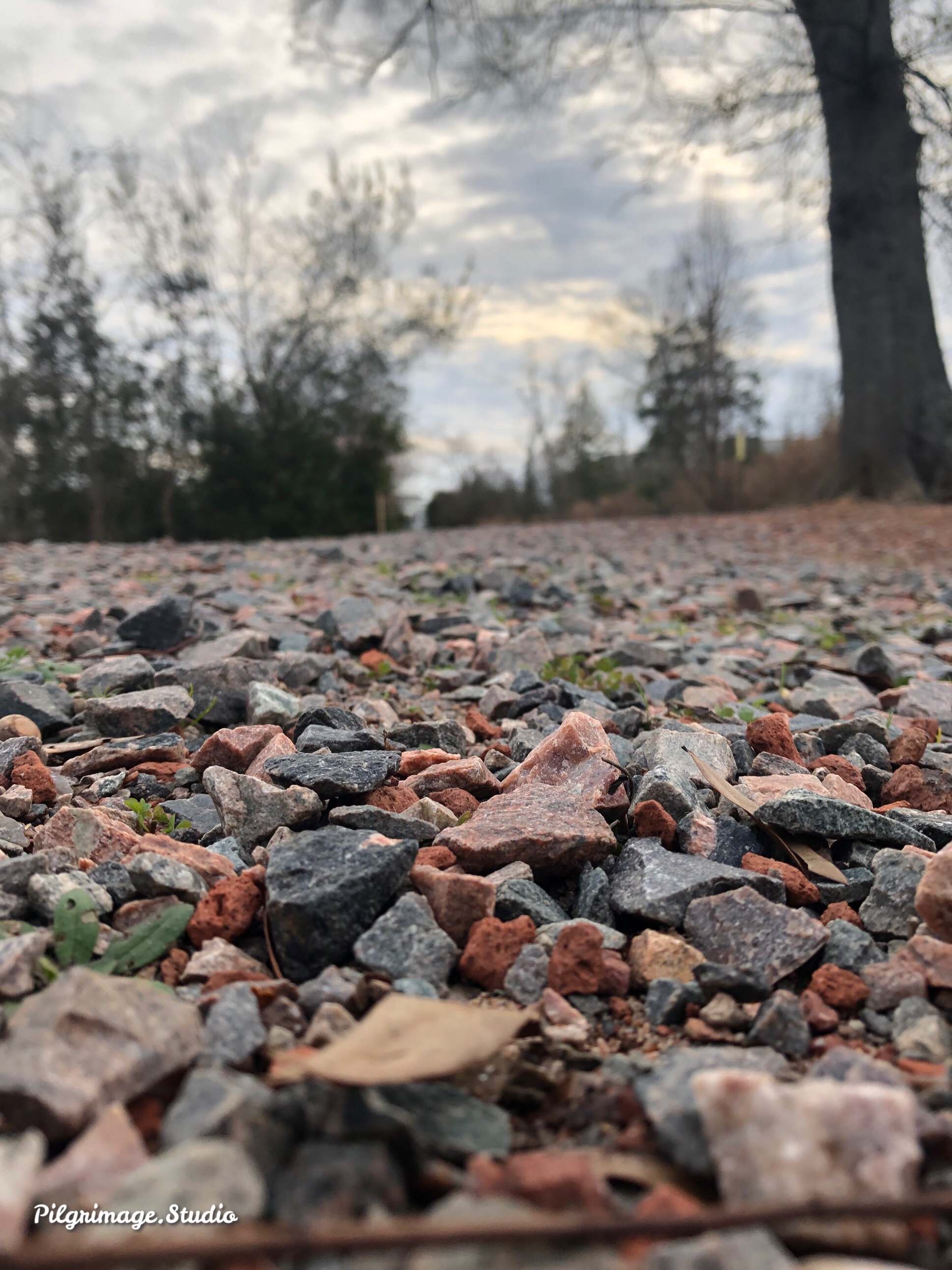 ©️ Pilgrimage Studio