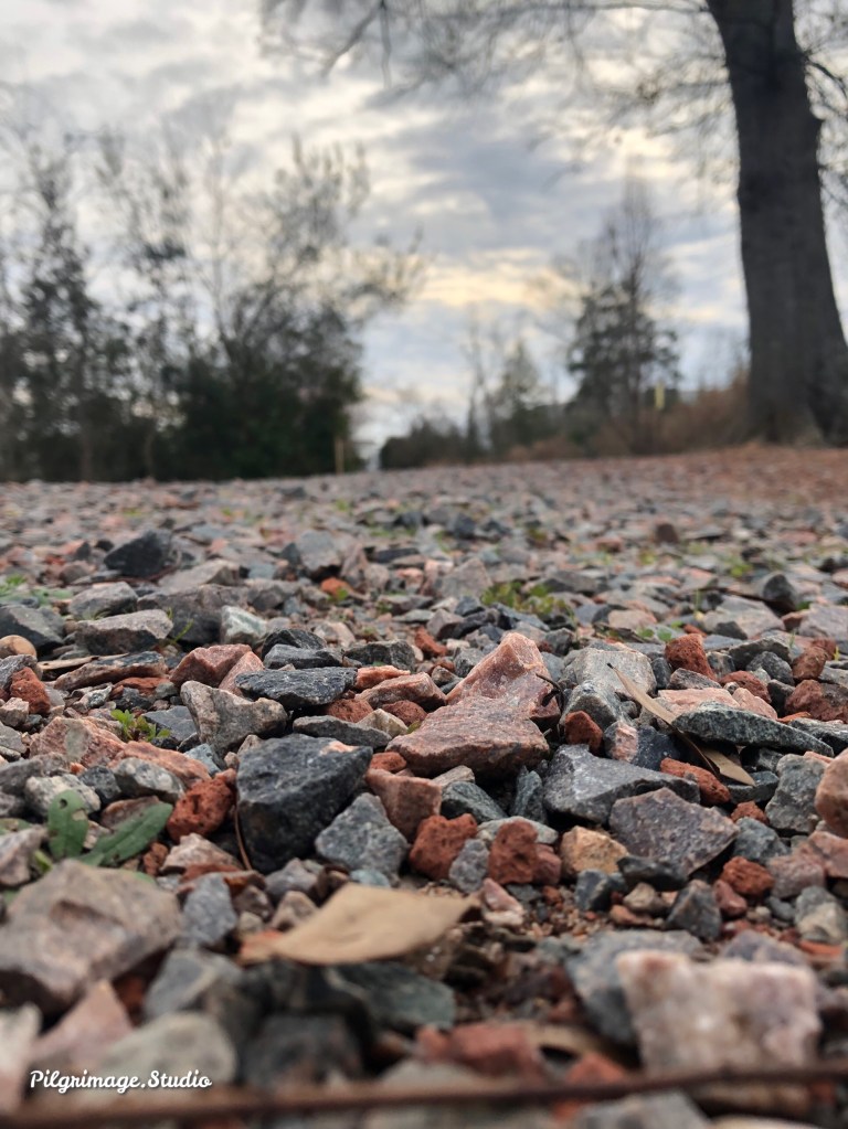 ©️ Pilgrimage Studio