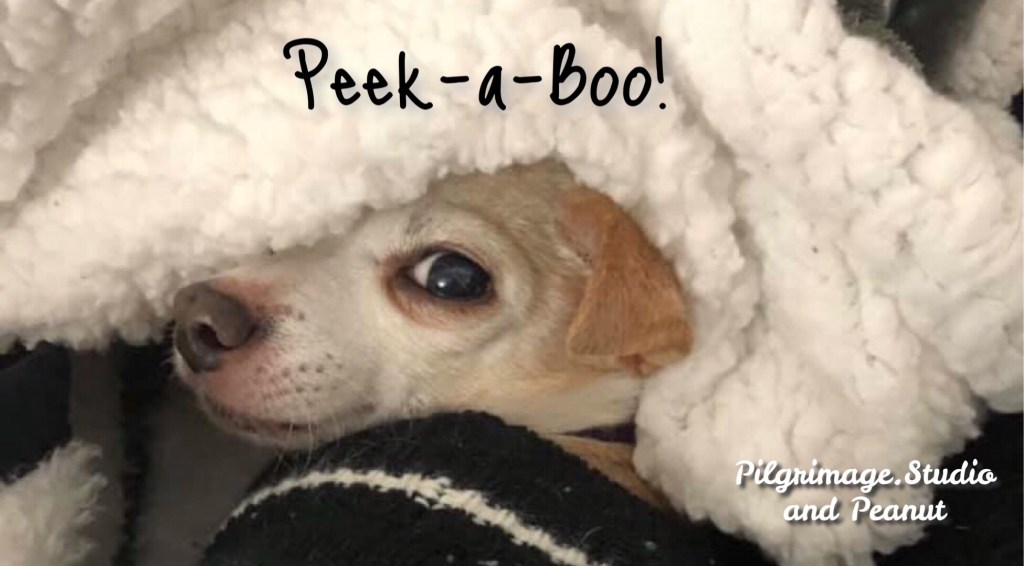 Today’s Shot 83&nbsp;#Haibun