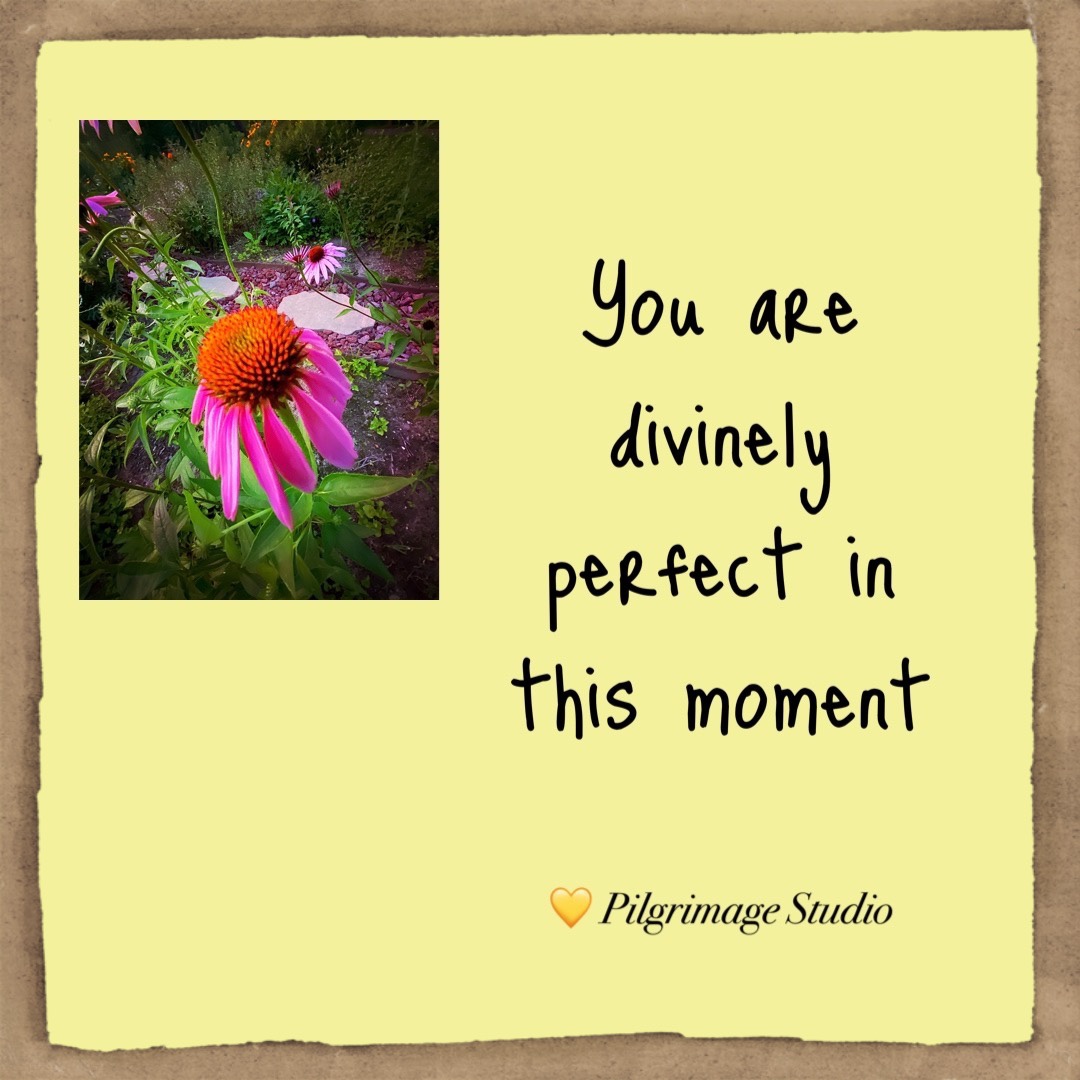 You are divinely perfect in this moment 