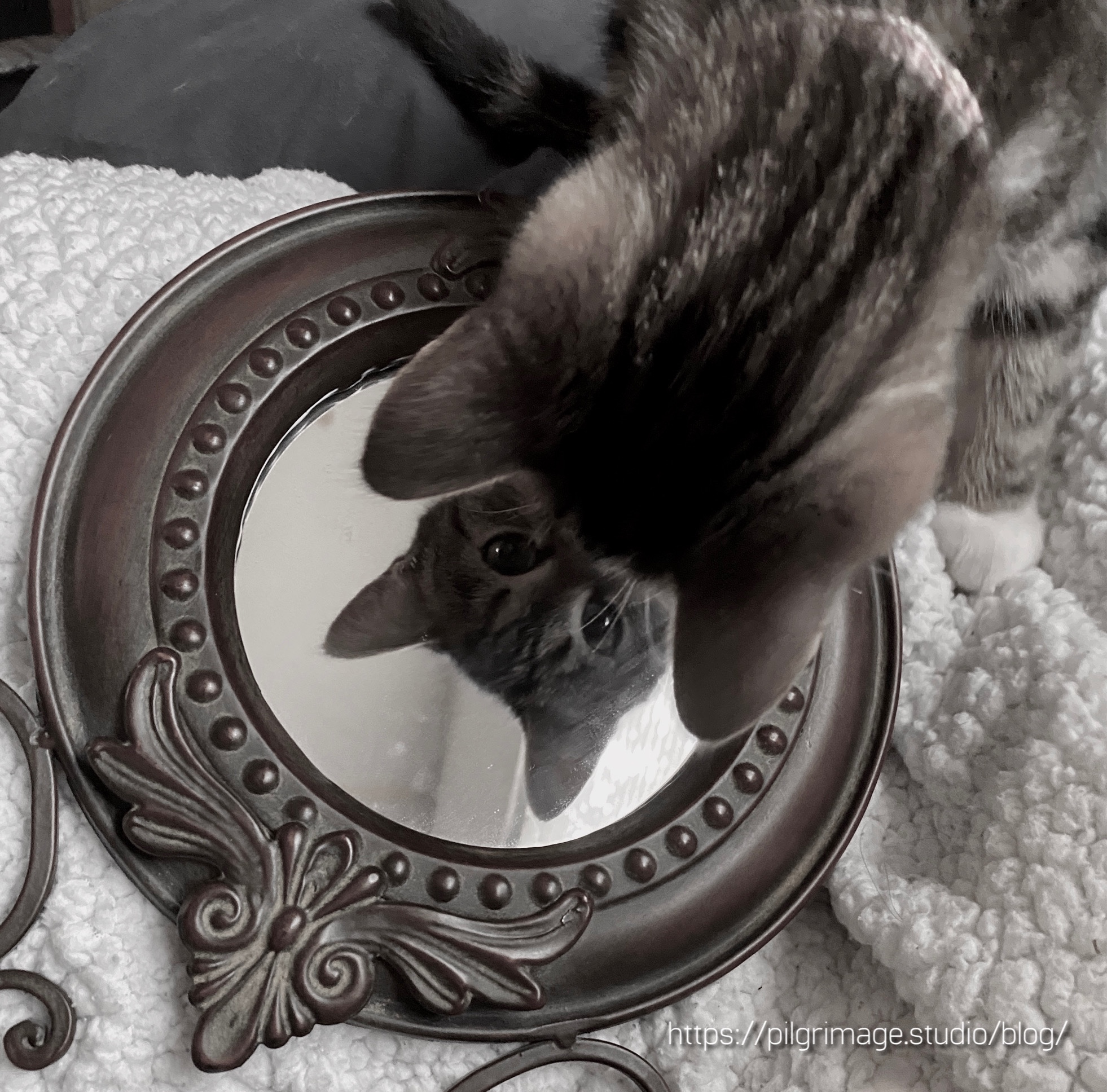 Baby Vanya looking in the mirror 