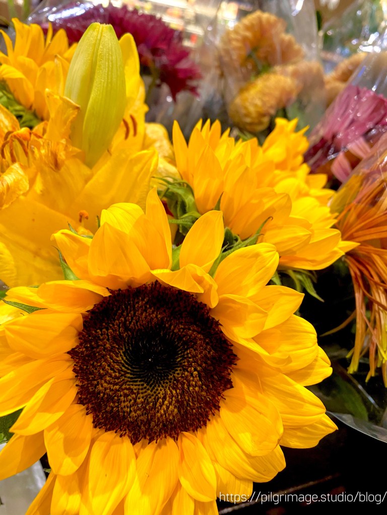 Bright and cheerful Sunflowers