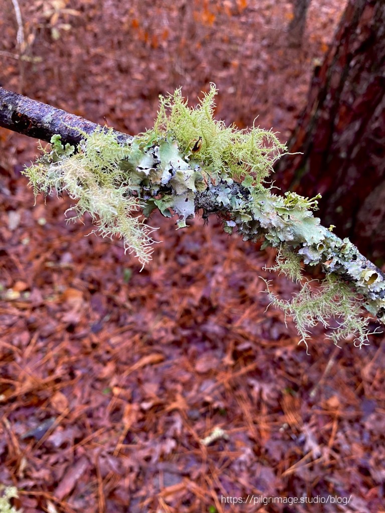 Waves washing up on the sand 