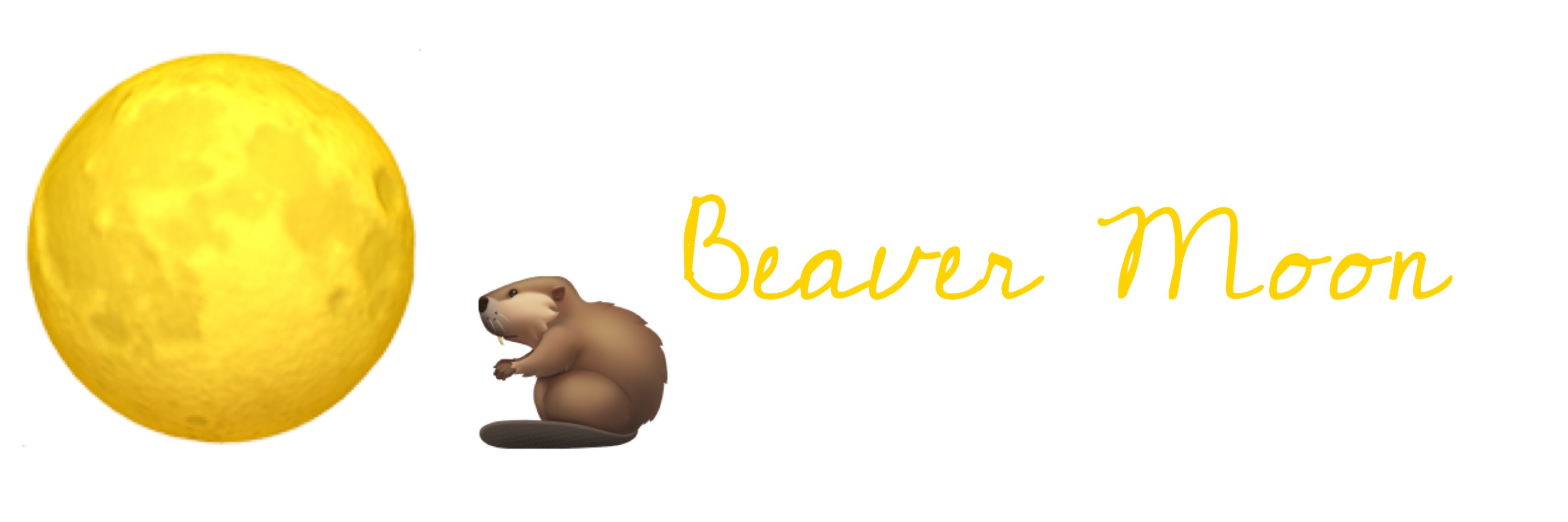 ©️ Pilgrimage Studio 