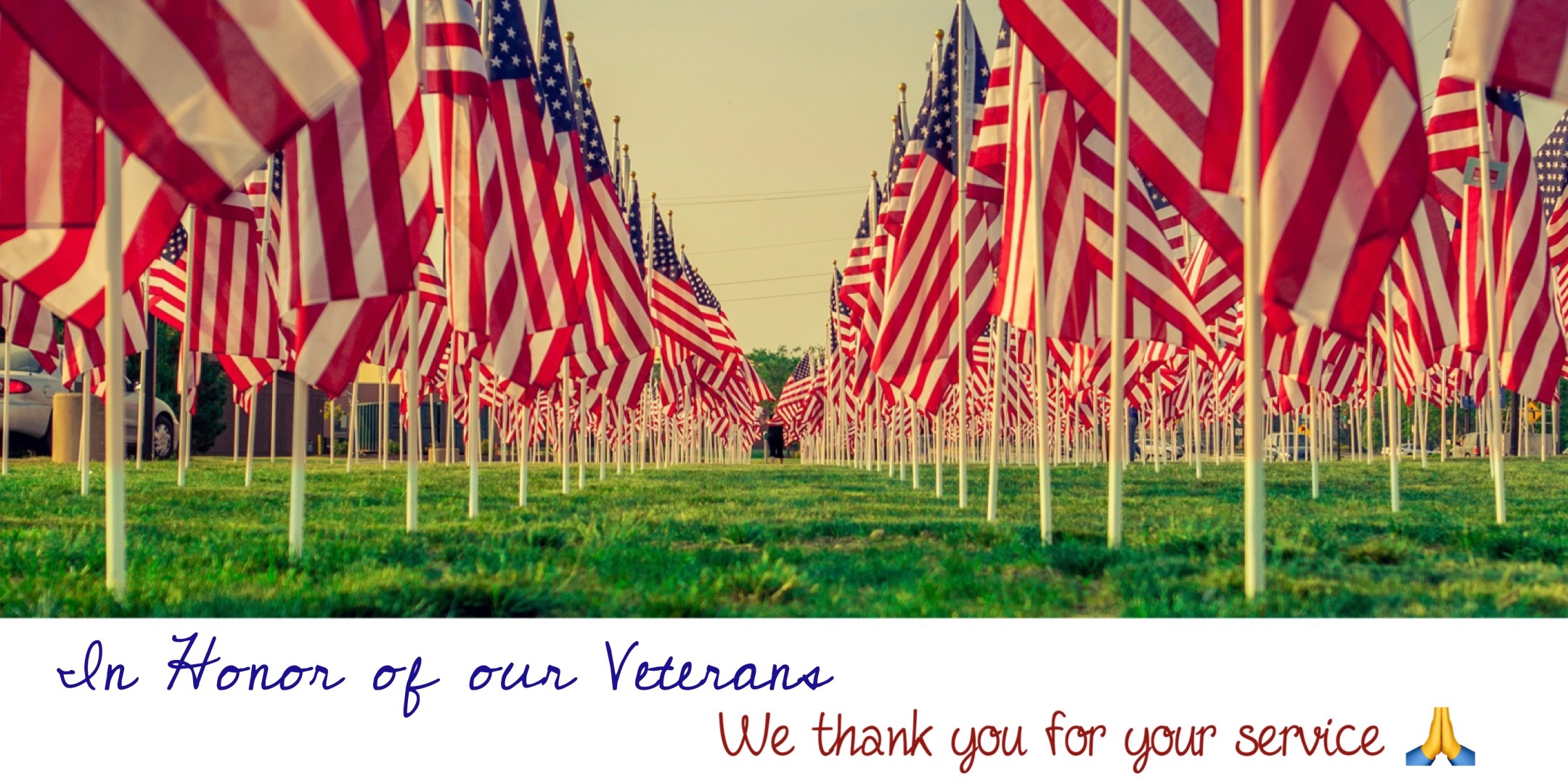 ©️ Pilgrimage Studio 