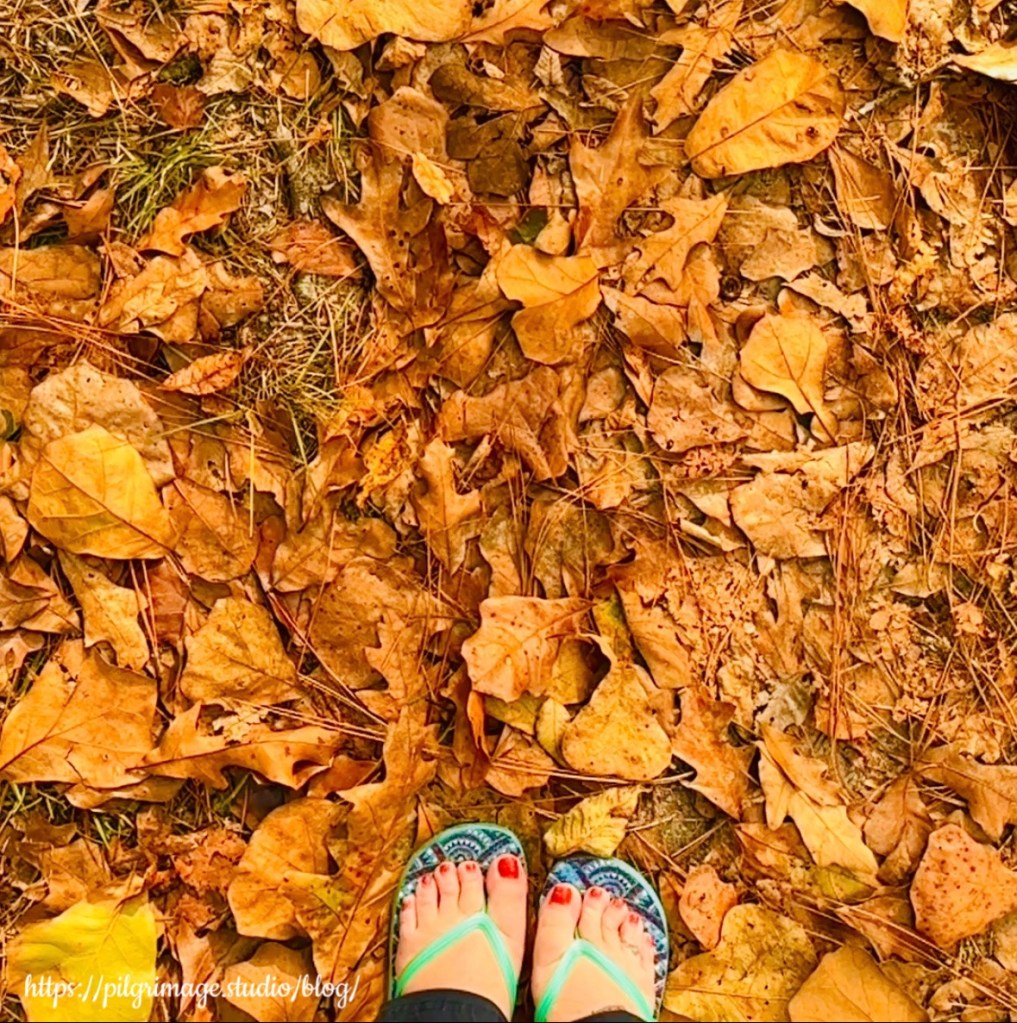 Stepping into Fall Leaves 