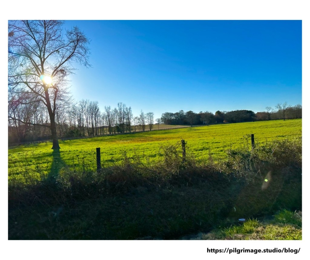 ©️ Pilgrimage Studio 