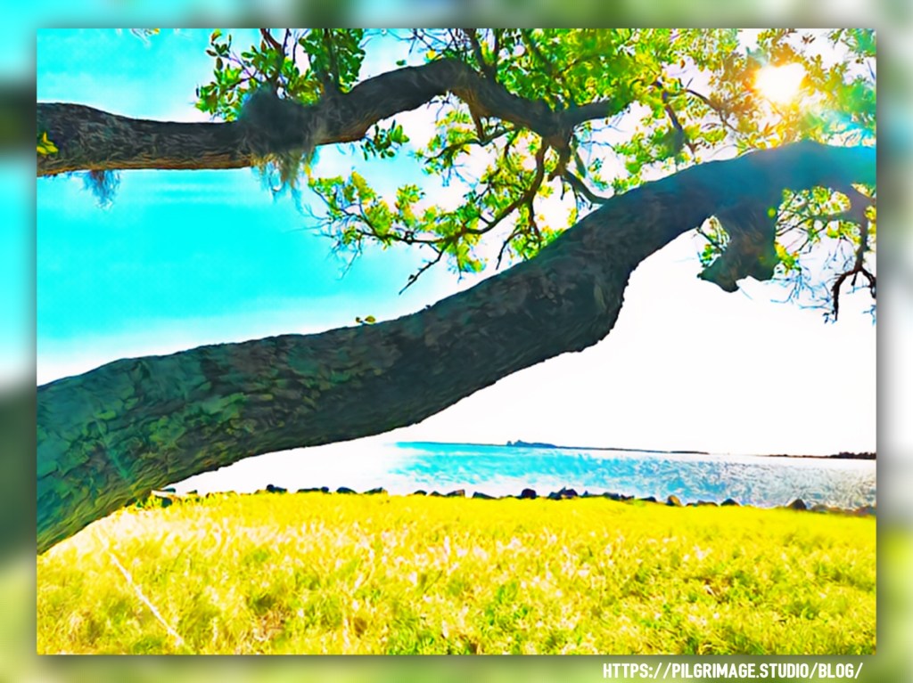 Sun glows in the shape of a heart through leaves over a turquoise ocean and bright green sea foliage in Charleston, SC.