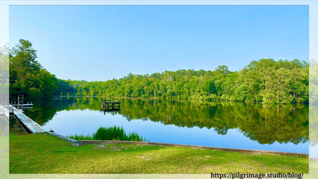 The pond’s surface a mirror reflecting blue sky and green leaves