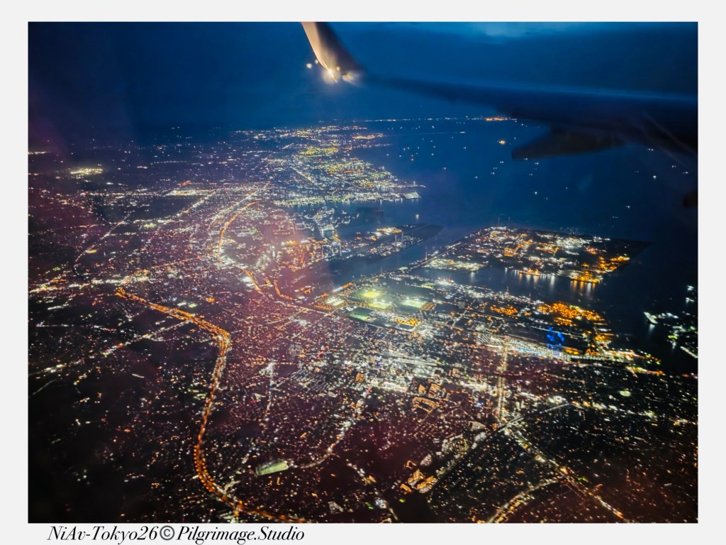 View of Tokyo from plane 